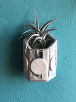 Wall Moon Phase Vase with Air Plant