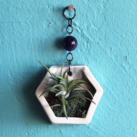 Small Hanging Air Plant Hexagon with Amethyst